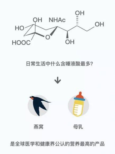 深度解析：乳铁蛋白中燕窝酸的全方位功效与实际应用