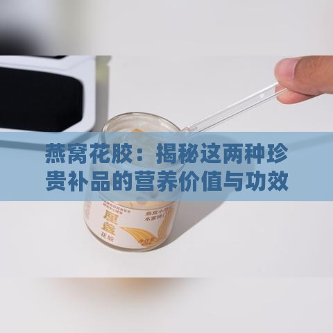 燕窝花胶：揭秘这两种珍贵补品的营养价值与功效