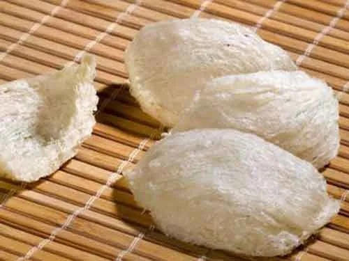 金丝燕的燕窝好吗：食用方法、功效与作用及制作原料