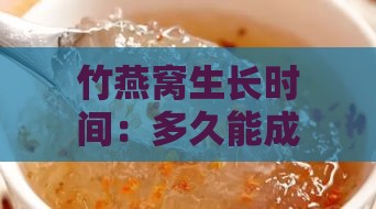 竹燕窝生长时间：多久能成熟与食用，如何形成？