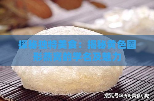 探秘独特美食：揭秘黄色圆形燕窝的学名及魅力