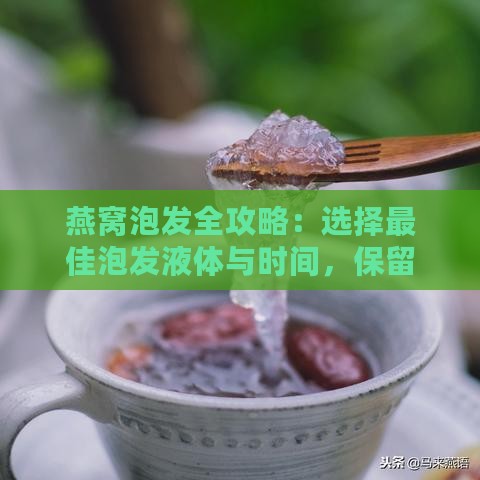 燕窝泡发全攻略：选择更佳泡发液体与时间，保留丰富营养的秘密