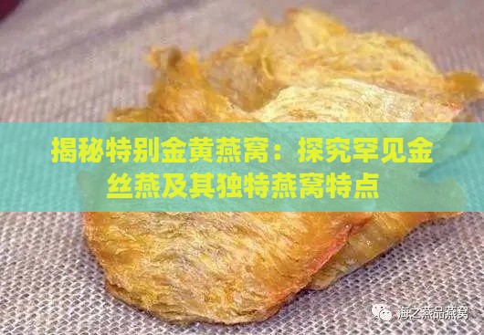 揭秘特别金黄燕窝：探究罕见金丝燕及其独特燕窝特点