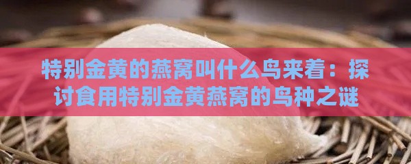 特别金黄的燕窝叫什么鸟来着：探讨食用特别金黄燕窝的鸟种之谜