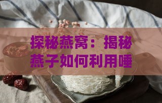 探秘燕窝：揭秘燕子如何利用唾液制成珍贵滋补品