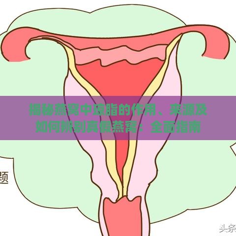 揭秘燕窝中琼脂的作用、来源及如何辨别真假燕窝：全面指南