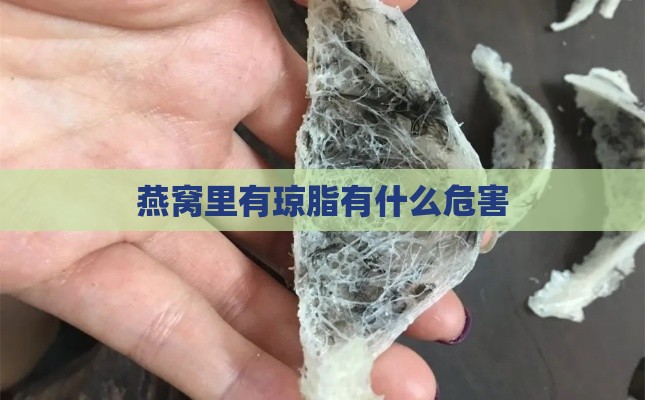 燕窝里有琼脂有什么危害