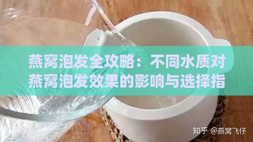 燕窝泡发全攻略：不同水质对燕窝泡发效果的影响与选择指南