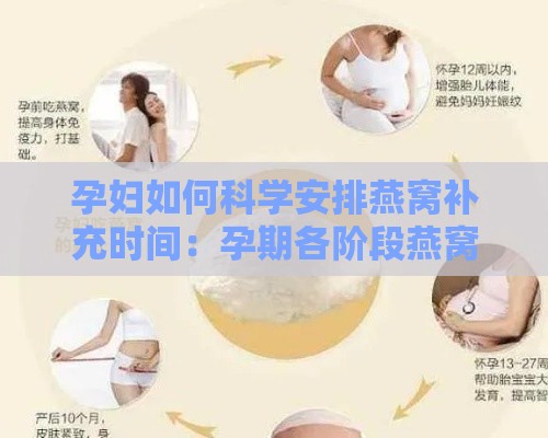 孕妇如何科学安排燕窝补充时间：孕期各阶段燕窝补益指南与注意事项