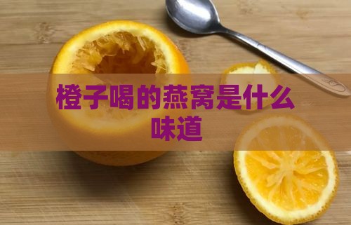 橙子喝的燕窝是什么味道