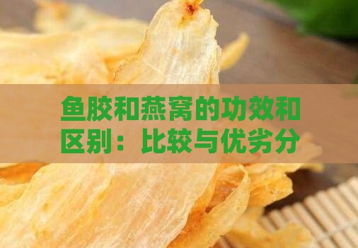 鱼胶和燕窝的功效和区别：比较与优劣分析