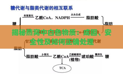 揭秘燕窝中白色物质：成因、安全性及如何正确处理