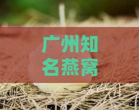 广州知名燕窝推荐与选购指南：品质、价格、功效全解析