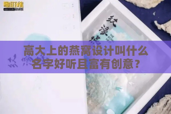 高大上的燕窝设计叫什么名字好听且富有创意？