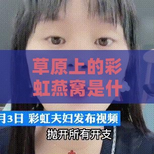 草原上的彩虹燕窝是什么