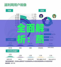 全面解析：燕窝被子的综合性能、优缺点及用户选购指南