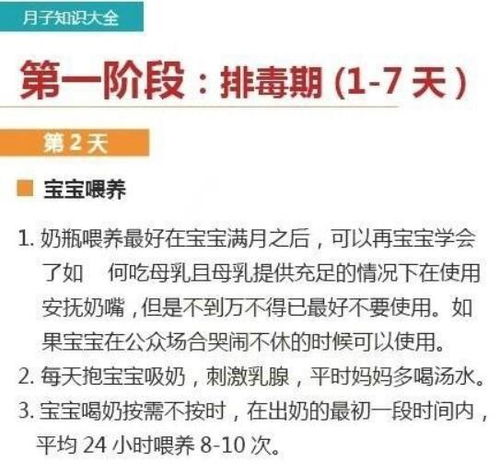 月子期间燕窝的科学食用时间与更佳频率指南