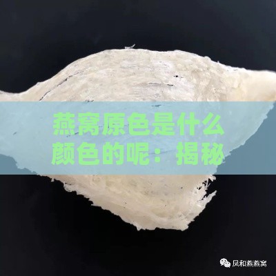 燕窝原色是什么颜色的呢：揭秘真正燕窝的颜色与真伪鉴别