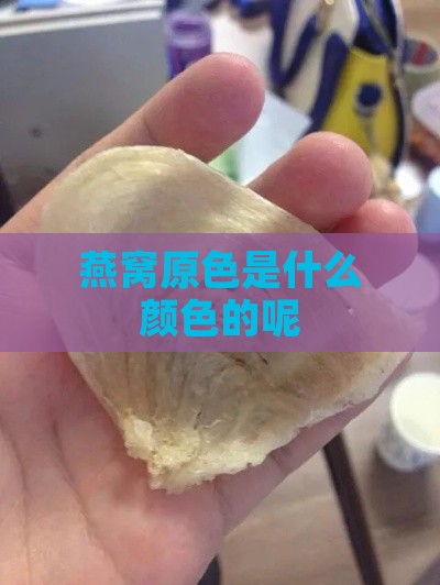 燕窝原色是什么颜色的呢