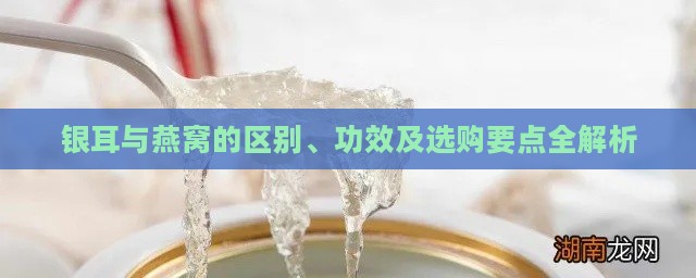 银耳与燕窝的区别、功效及选购要点全解析