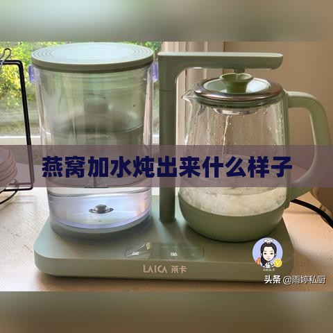 燕窝加水炖出来什么样子