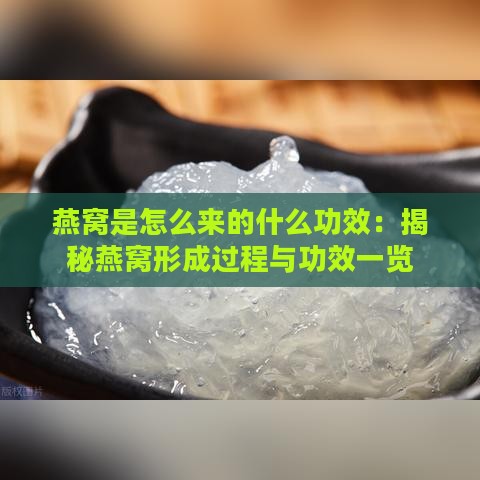 燕窝是怎么来的什么功效：揭秘燕窝形成过程与功效一览