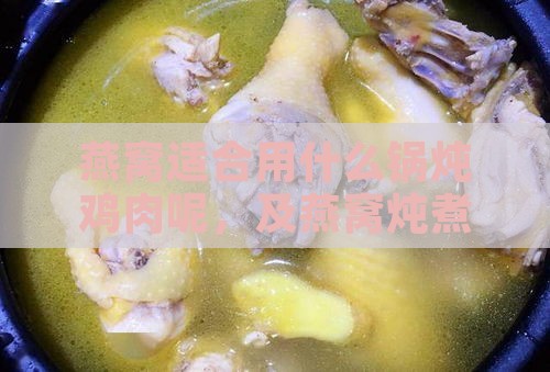 燕窝适合用什么锅炖鸡肉呢，及燕窝炖煮更佳锅具选择