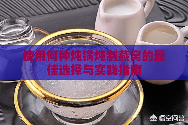 使用何种炖锅炖制燕窝的更佳选择与实践指南