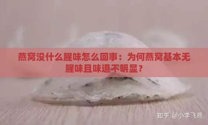 燕窝没什么腥味怎么回事：为何燕窝基本无腥味且味道不明显？