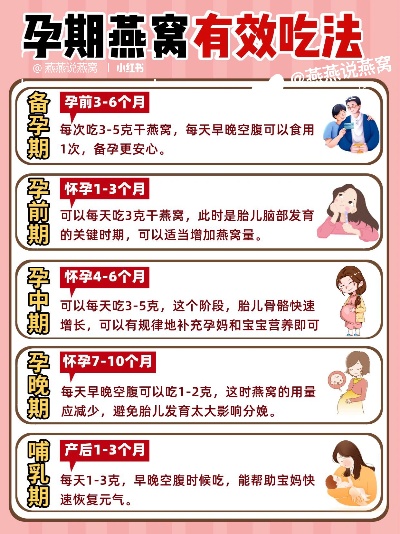 孕期如何安排燕窝摄入的更佳时间点