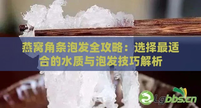 燕窝角条泡发全攻略：选择最适合的水质与泡发技巧解析