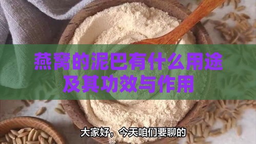 燕窝的泥巴有什么用途及其功效与作用