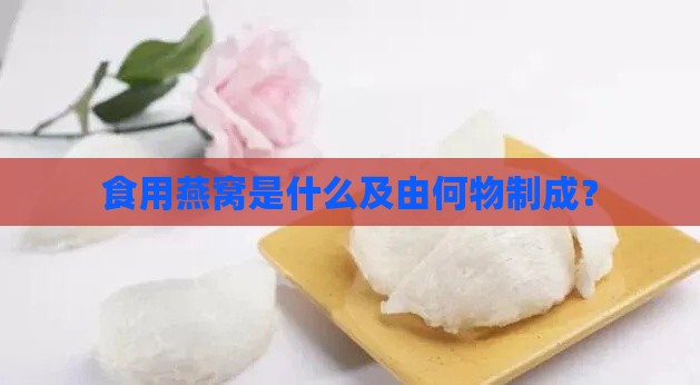 食用燕窝是什么及由何物制成？