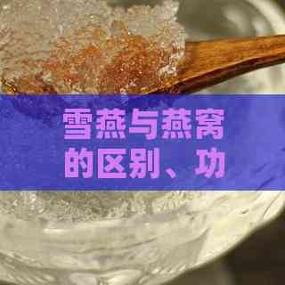 雪燕与燕窝的区别、功效及挑选指南：全面解析两者的差异与选购要点