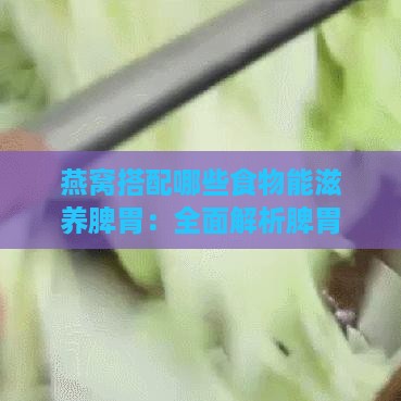 燕窝搭配哪些食物能滋养脾胃：全面解析脾胃保健营养搭配指南