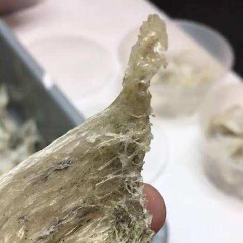 探究燕窝果霉变后的独特气味体验