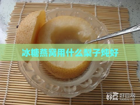 冰糖燕窝用什么梨子炖好