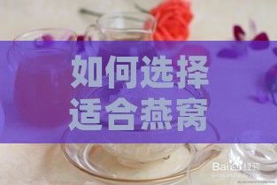 如何选择适合燕窝炖煮的电炖锅：对比推荐与实践指南