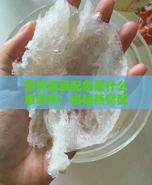 燕窝高级配色是什么意思啊：揭秘燕窝配色的奥秘与高级感来源