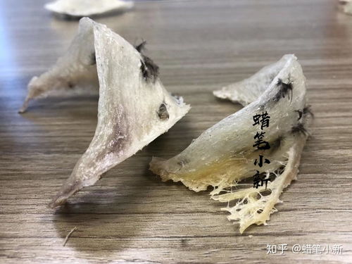 小鸟燕窝是什么颜色的呢