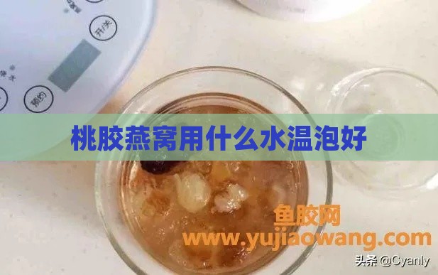 桃胶燕窝用什么水温泡好