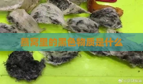 燕窝里的黑色物质是什么