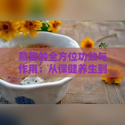 燕窝的全方位功效与作用：从保健养生到美容养颜的详细解析