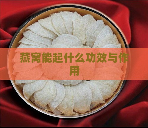 燕窝能起什么功效与作用