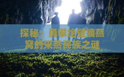 探秘：勇攀绝壁摘燕窝的采燕民族之谜