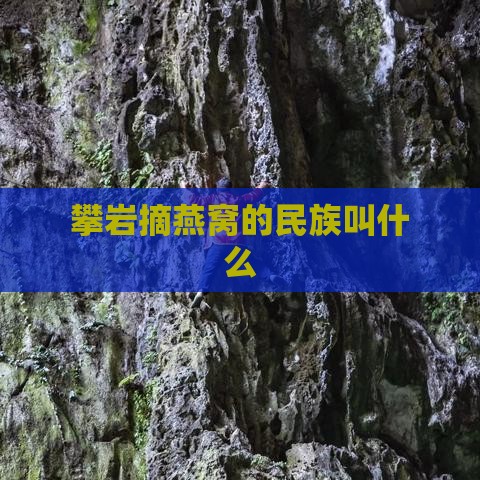 攀岩摘燕窝的民族叫什么