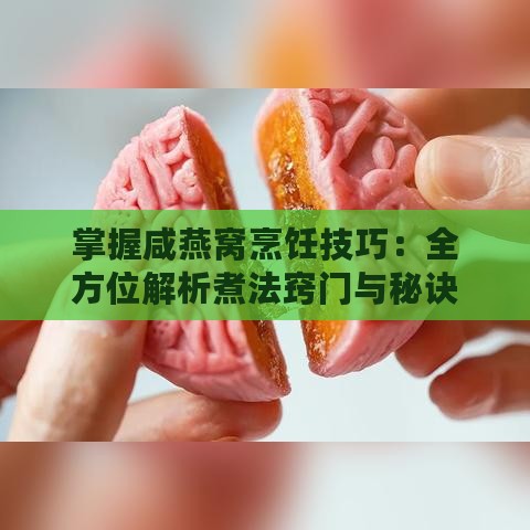 掌握咸燕窝烹饪技巧：全方位解析煮法窍门与秘诀