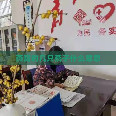 燕窝的几只燕子什么意思