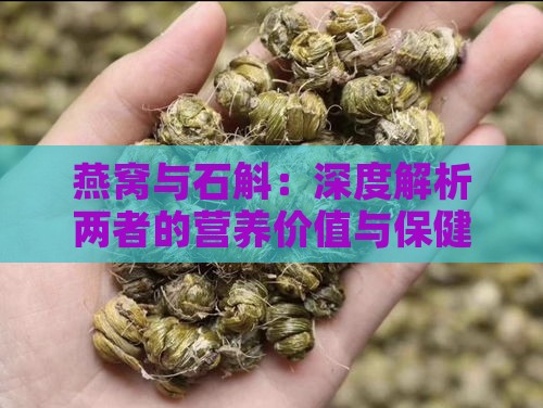 燕窝与石斛：深度解析两者的营养价值与保健功效对比