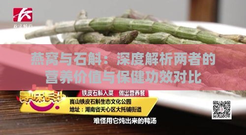 燕窝与石斛：深度解析两者的营养价值与保健功效对比